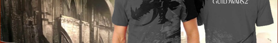 Le meilleur t-shirt Guild Wars 2 ?