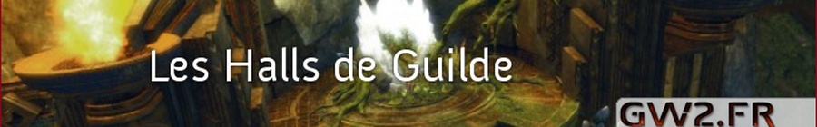 La construction du Hall de Guilde et la refonte du système de guilde