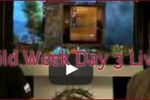 Un résumé du LiveStream Journée 3 de la semaine des guildes.