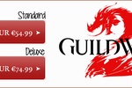 ArenaNet reprend les ventes de Guild Wars 2