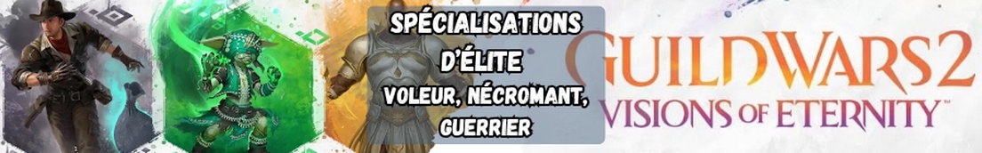 Visions of Eternity - Spécialisations d'élite : Voleur, Nécromant, Guerrier