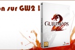 Plus de 30% de réduction sur Guild Wars 2