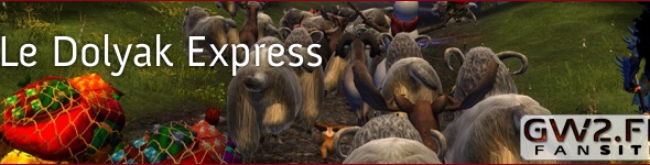 Initiative communautaire : le Dolyak Express