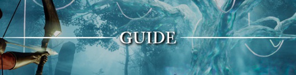 New World - Guide du débutant