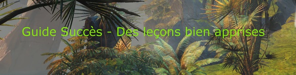 Guide succès - Des leçons bien apprises - Point d'ignition