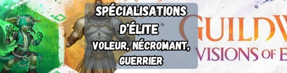 Visions of Eternity - Spécialisations d'élite : Voleur, Nécromant, Guerrier