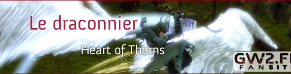Le draconnier : spécialisation d’élite du gardien