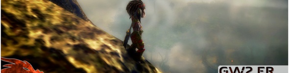 GW2.fr teste le nouveau champ de vision (FOV)