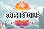 Visions of Eternity : Bois étoilé
