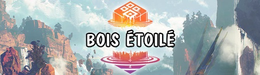 Visions of Eternity : Bois étoilé