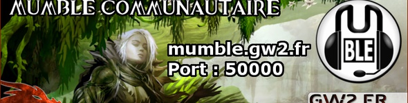 Rendez-vous ce soir sur notre Mumble communautaire !