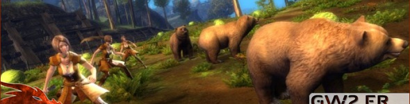 Les bots, une espèce en voie d'extinction ?