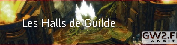 La construction du Hall de Guilde et la refonte du système de guilde