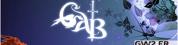 Interview du leader des Check and Burst, une guilde française qui a fini le PvE