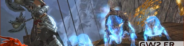 Réduction sur la version Deluxe de Guild Wars 2