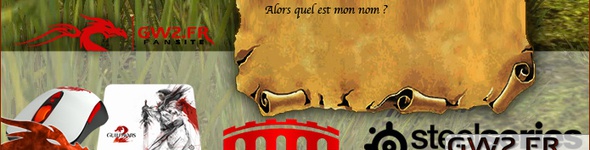 Second concours en partenariat avec SteelSeries et ArenaNet