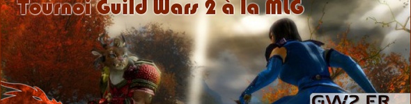 Tournoi à la MLG