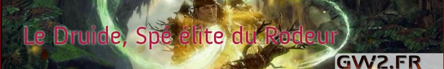 Le Druide, spécialisation élite du rodeur.