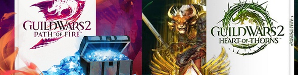 Black Friday : 50% de réduction Pour Path of Fire