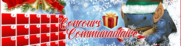 Résultat du concours : Le calendrier de l'Avent Communautaire